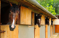 free Bontnewydd stable construction quotes